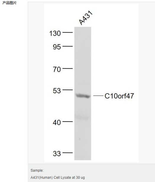 6052bb1b57fd3.png image.png