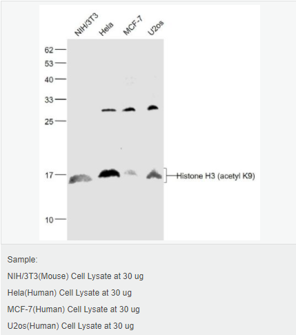 60544e5e45de8.png image.png