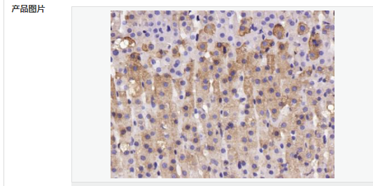 6057ee529c63e.png image.png