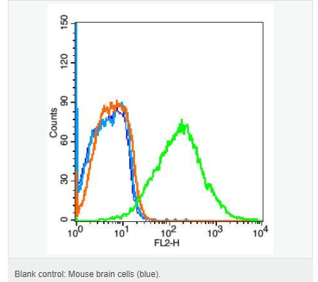 6057ee648d565.png image.png