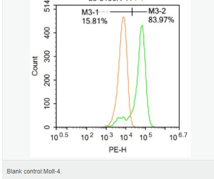 60583a924702f.png image.png