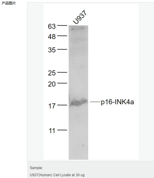 60584f29b5dfe.png image.png