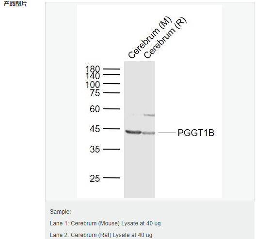 6058589b695d4.png image.png