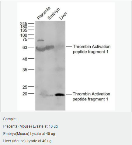 60593f87c2178.png image.png