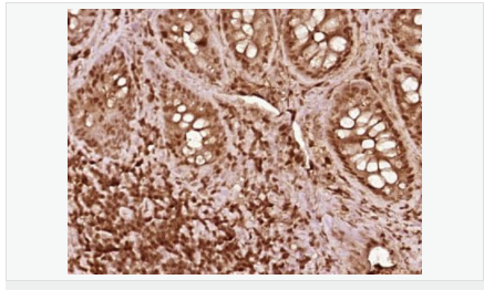 60594027d7d81.png image.png