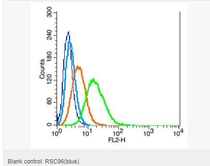 605acc4d2927b.png image.png