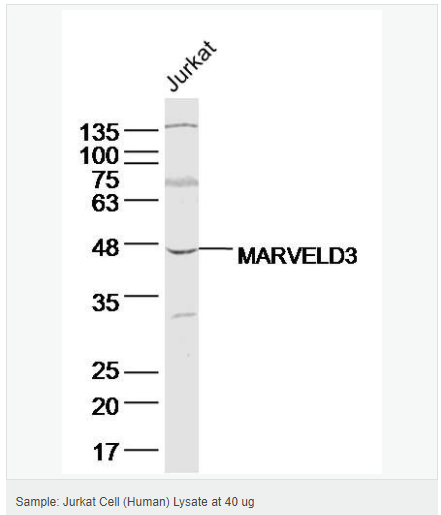 605c3d878f186.png image.png