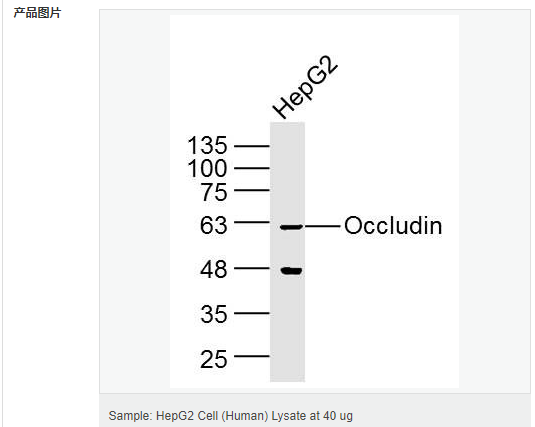 605d7627292ce.png image.png