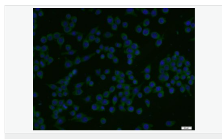 605d7efa3eb60.png image.png