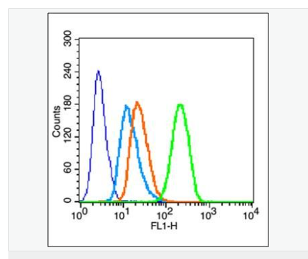 605d837e101a5.png image.png