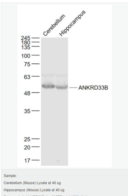 605d9fc4d0df2.png image.png