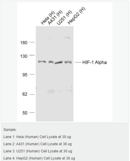 606428f16bcd7.png image.png