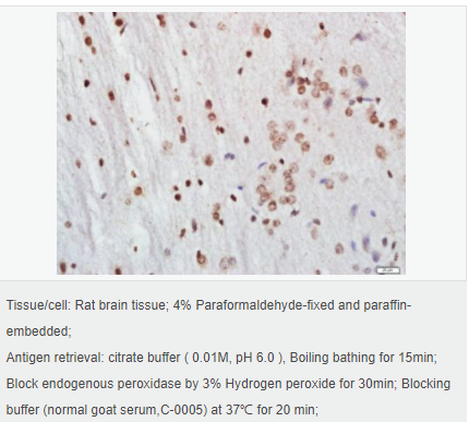 6066d22b2f974.png image.png