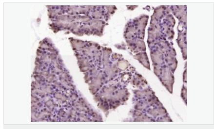 6066d64b91332.png image.png