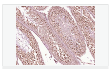 607651eedb98f.png image.png