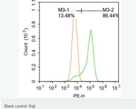 607661e479db4.png image.png