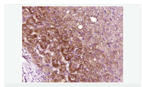 6076844b69762.png image.png