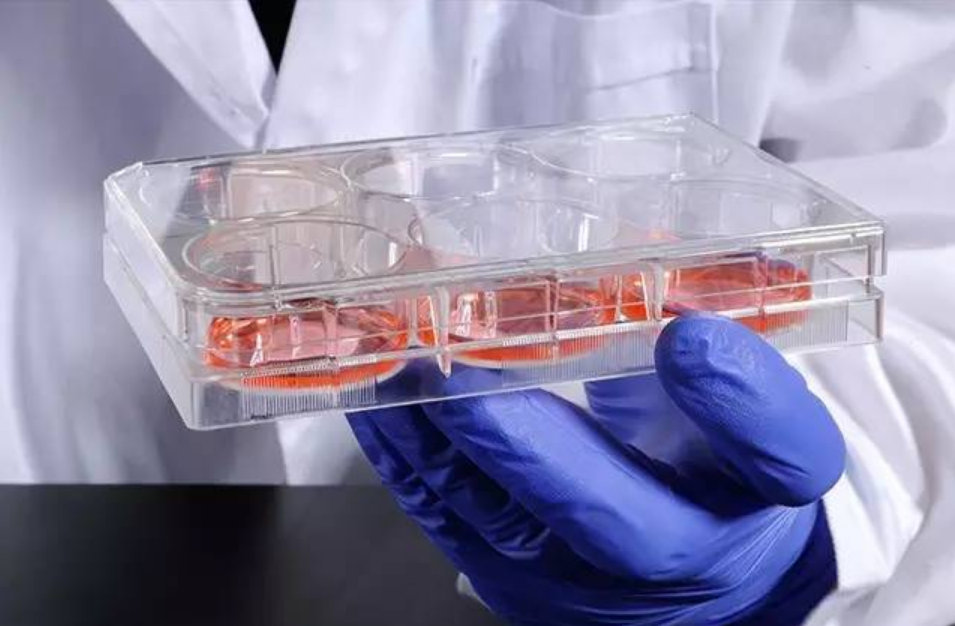 64740d227ac61.png image.png