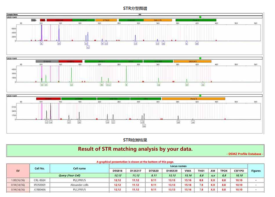 68ea0d3cc533f.png image.png